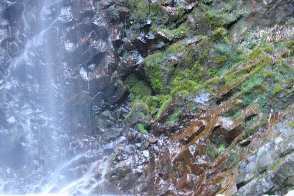 滝で濡れる岩と苔むす岩