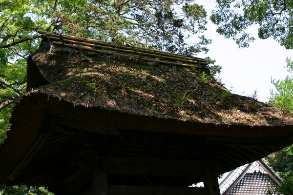 早雲寺の鐘楼、茅葺きの屋根