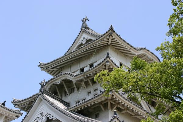 青空に映える姫路城の天守閣と樹木
