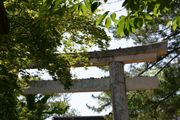 松江城内にある松枝神社の鳥居