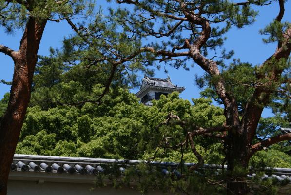 高知城と松