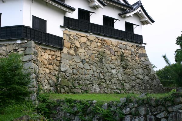 彦根城の天守と支える石垣