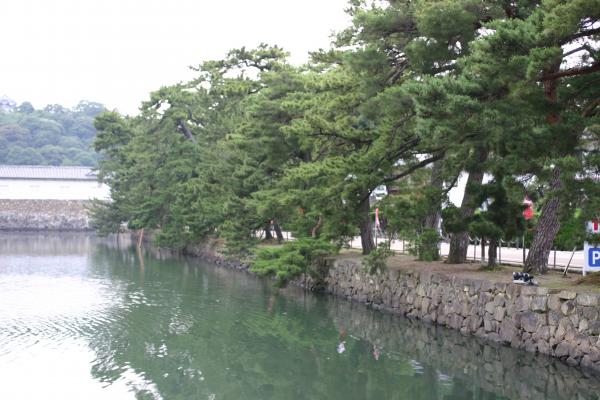 彦根城の内濠と「いろは松」