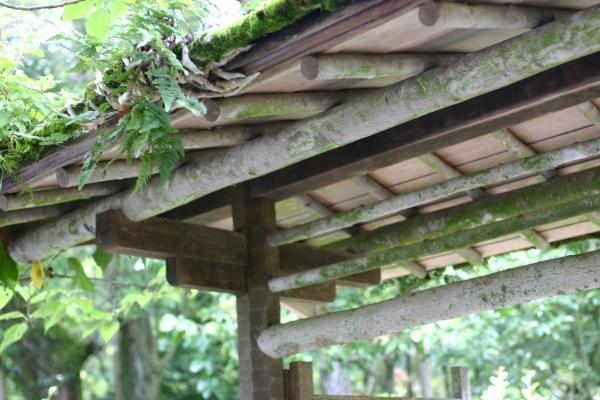 庭園の苔むす門屋根