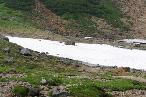 夏の乗鞍岳畳平の雪渓