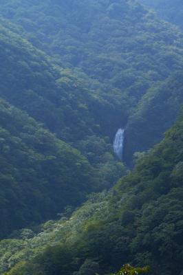 츫椫鸫ư/Ƥǡ١