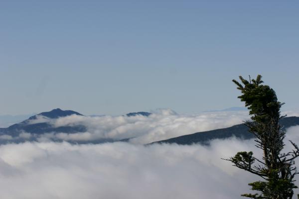 横手山頂から見た雲海と山々