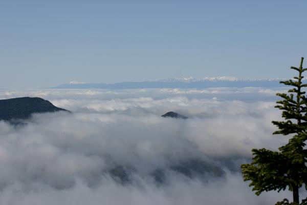 横手山頂から見た雲海と日本アルプスの遠望