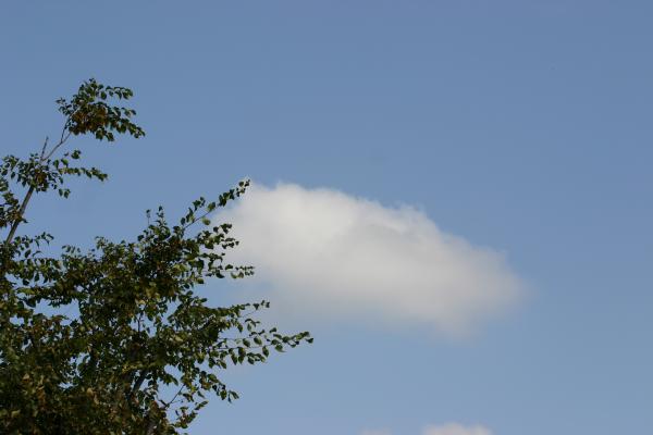 青い秋空と浮き雲
