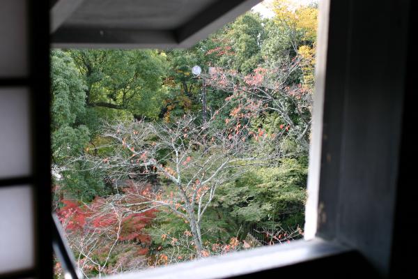 犬山城の天守閣から見た秋模様