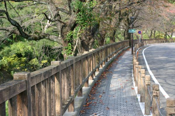 犬山城付近の「城見歩道」