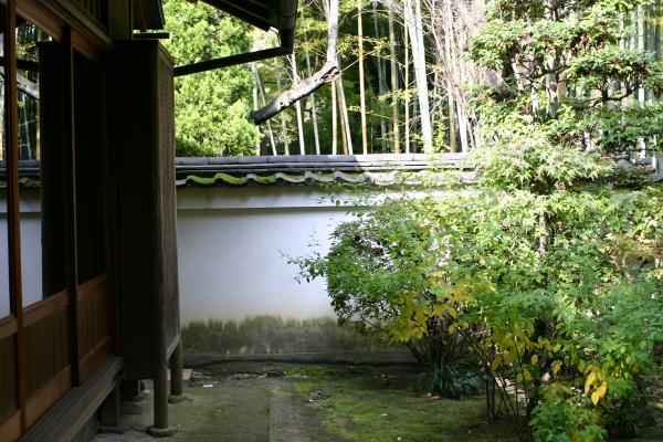 犬山「有楽苑」、弘庵の築地塀