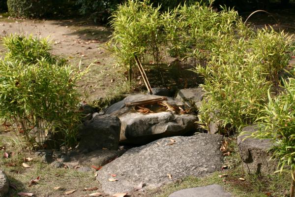 犬山「有楽苑」の手水鉢