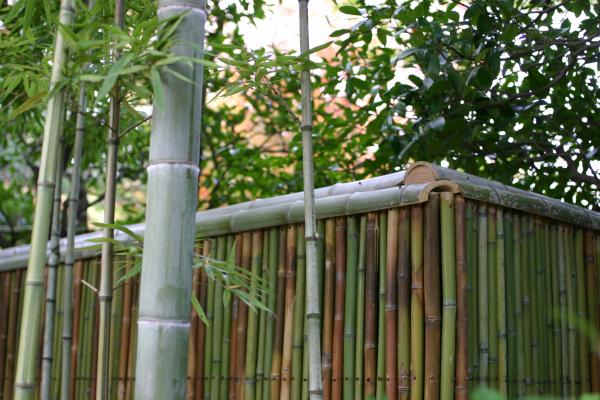 犬山「有楽苑」の竹垣
