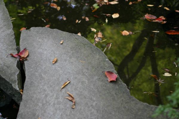 池の石橋と枯れ落ち葉