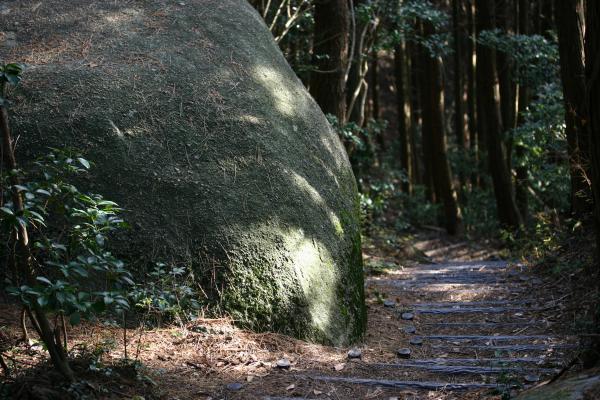 木洩れ日を受ける登山道の巨石