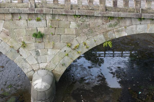 鹿児島の石橋「玉江橋」と野草