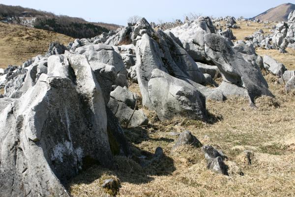 四国カルスト台地の石灰岩