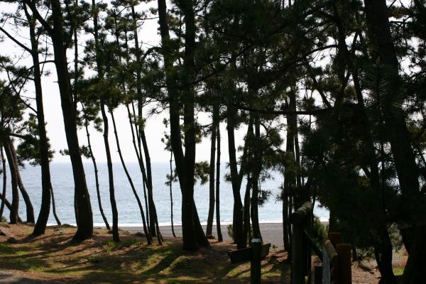 静岡の「三保の松原」越しの駿河湾