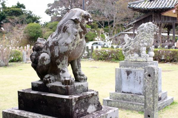 平戸、亀岡神社の狛犬