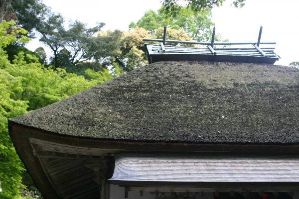 大興善寺の茅葺屋根の本堂