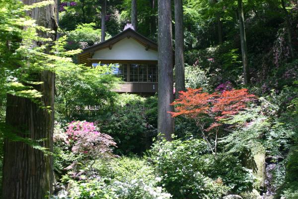大興善寺裏山の日本庭園と新客殿