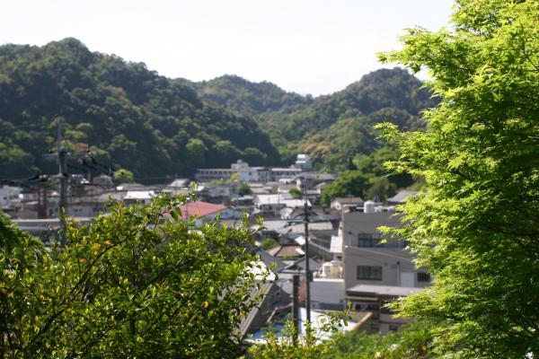 陶山神社から見た有田の町並み