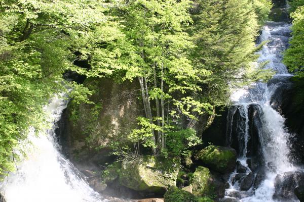 夏の「竜頭ノ滝」