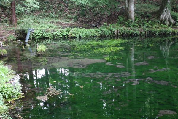 真楽寺のわき水と池