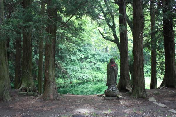 真楽寺の杉木立、池とお地蔵さん