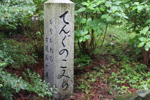 大雄山最乗寺の「てんぐのこみち」標識