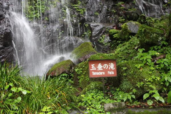 高千穂峡の「玉垂の滝」