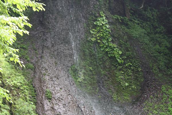 九酔渓の「つららの滝」