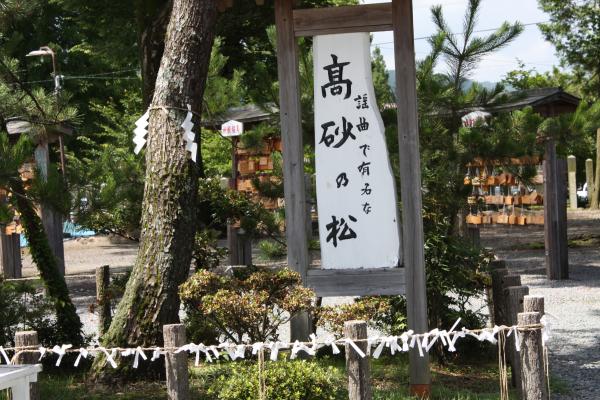 阿蘇神社の「高砂の松」