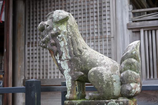 阿蘇神社の狛犬/癒し憩い画像データベース
