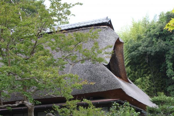 信州上田の「常楽寺」茅葺き本堂