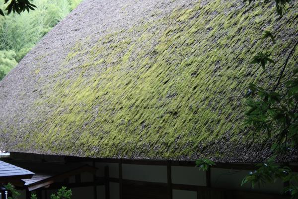 苔むす茅葺き屋根