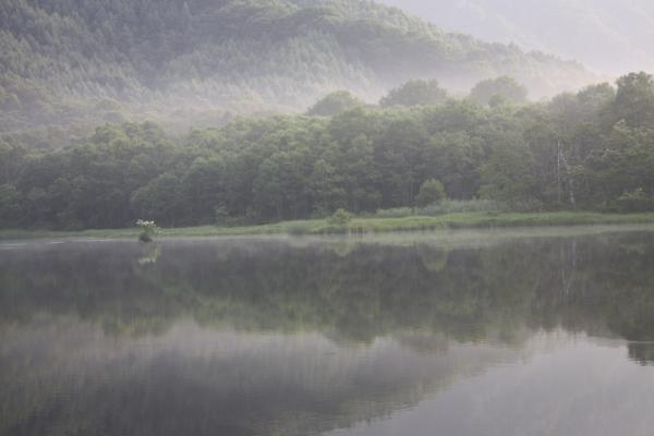 朝霧が包む森と池面