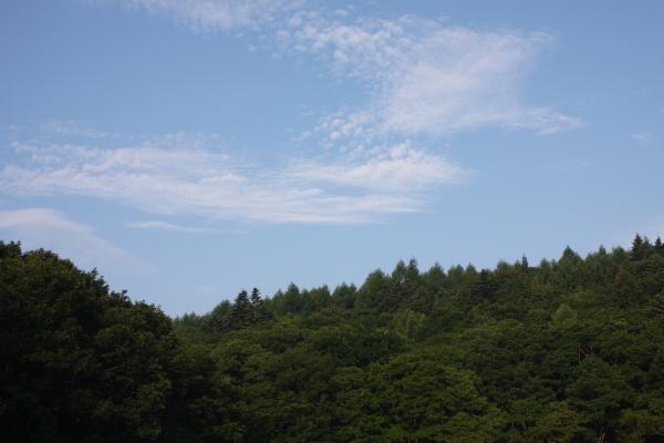 森と青空と雲
