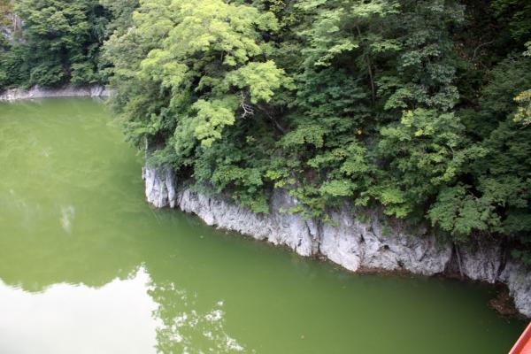 夏の帝釈峡、神龍湖と森と岩壁
