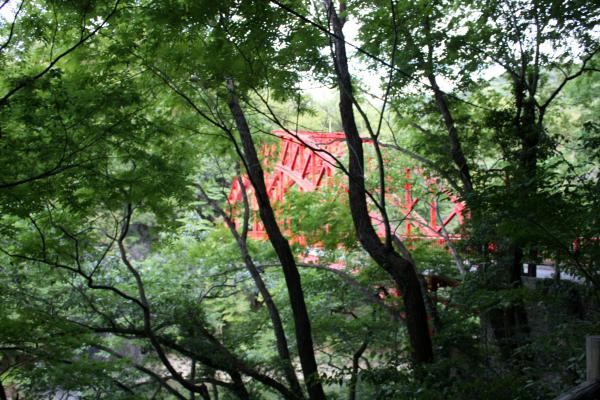 帝釈峡の森から見た「桜橋」