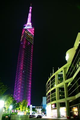 pink tower/Ƥǡ١