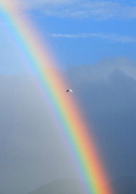Over the Rainbow/Ƥǡ١