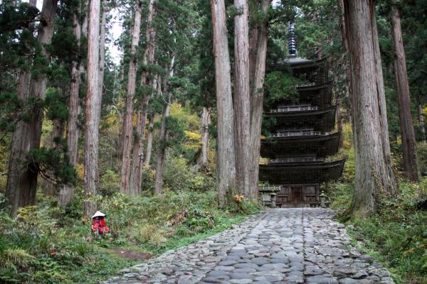 羽黒山五重塔への石畳の道/癒し憩い画像データベース