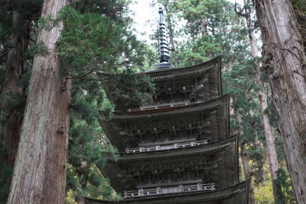杉林の中の国宝「羽黒山五重塔」