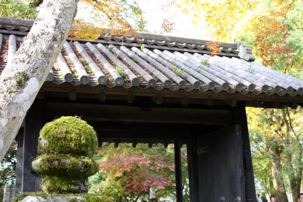 福岡秋月城跡の「黒門」と苔むす灯籠