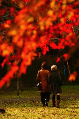 Romance of autumn/Ƥǡ١