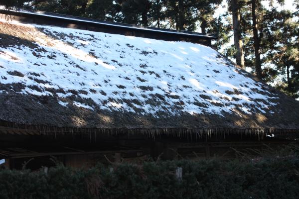 茅葺き屋根の積雪