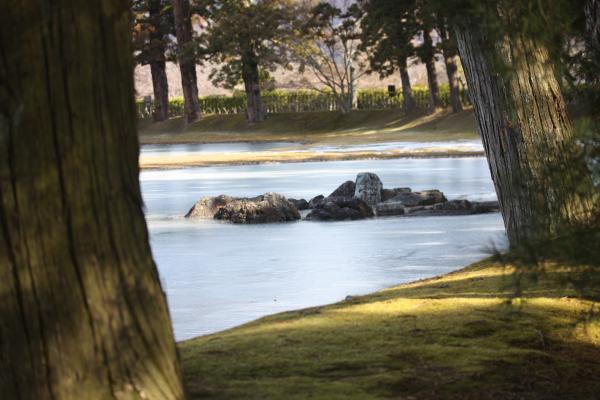 大泉が池と樹間から見る出島石組