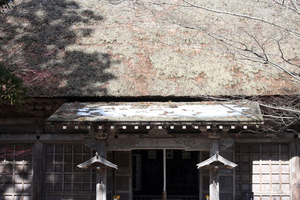 冬の平泉毛越寺、常行堂の茅葺き屋根に映る木の影
